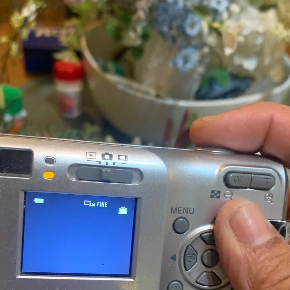 Sony Cyber-shot Metallic Silver Camera